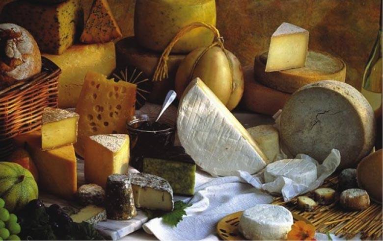 λογότυπο και σχετικά με την εταιρία